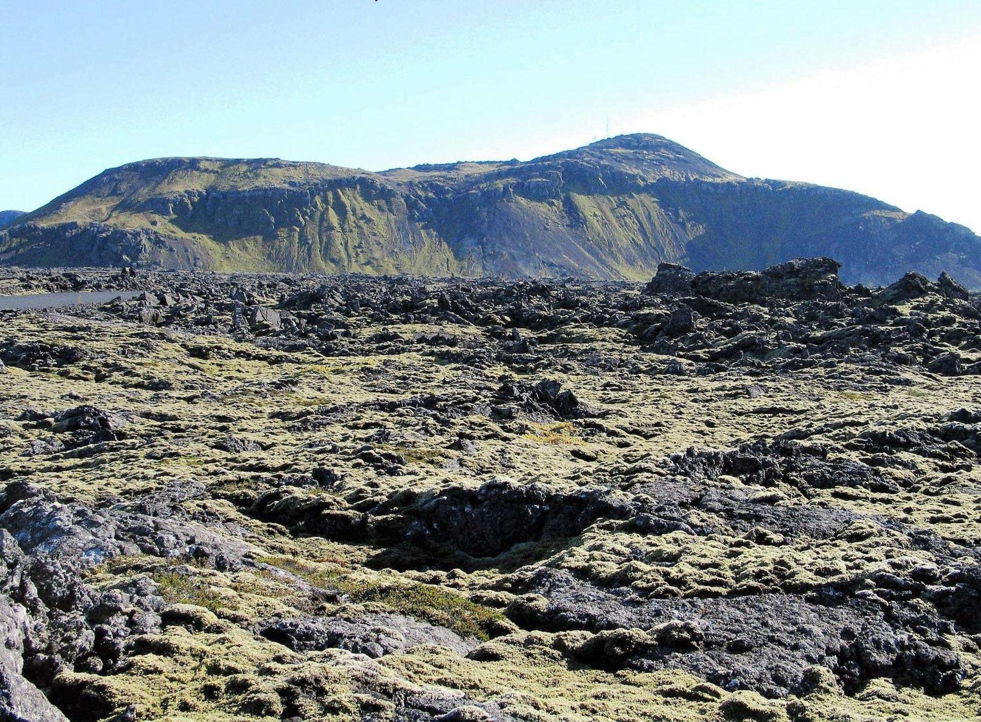 Reykjanes Guesthouse Grindavík 외부 사진